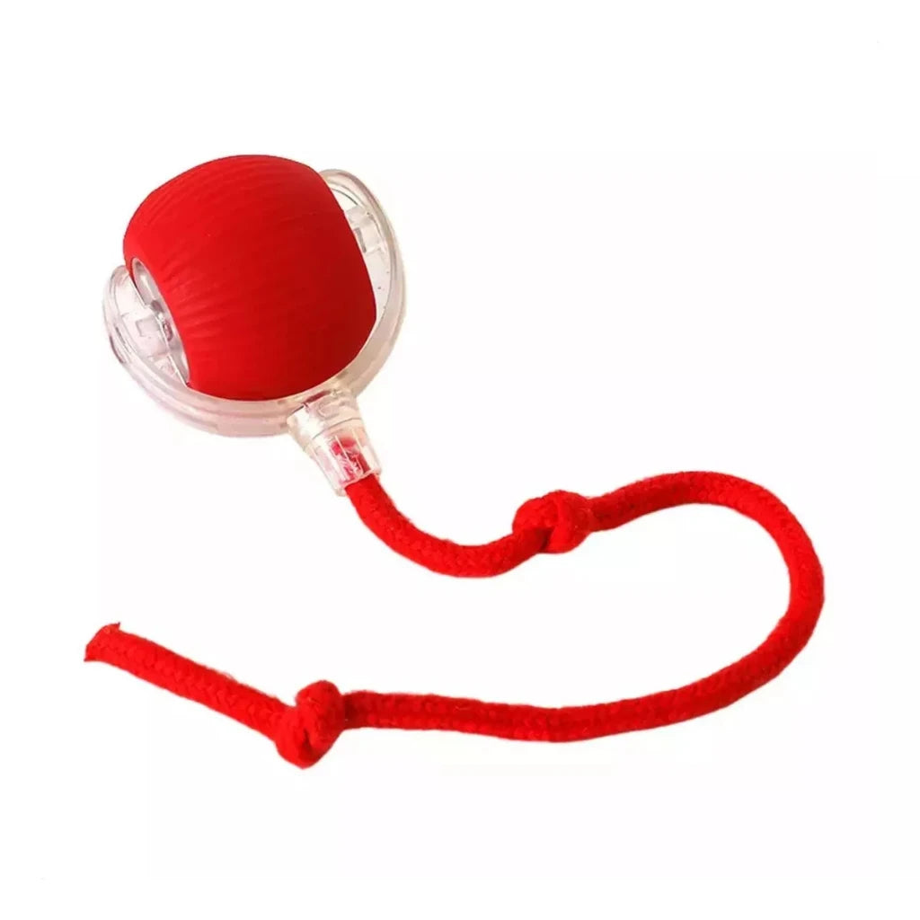 ChaseTail Smart Ball