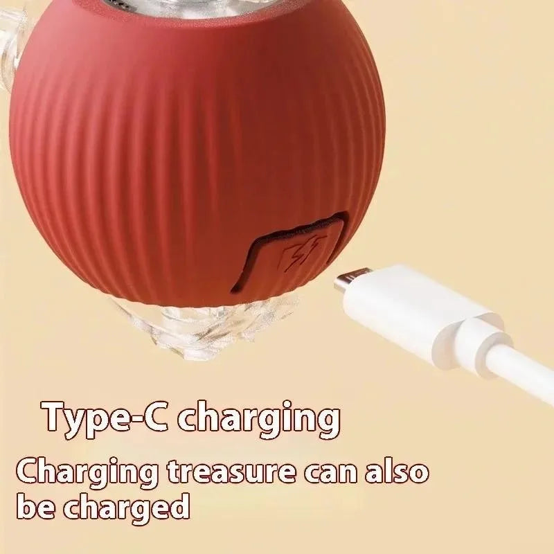 ChaseTail Smart Ball