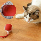 ChaseTail Smart Ball