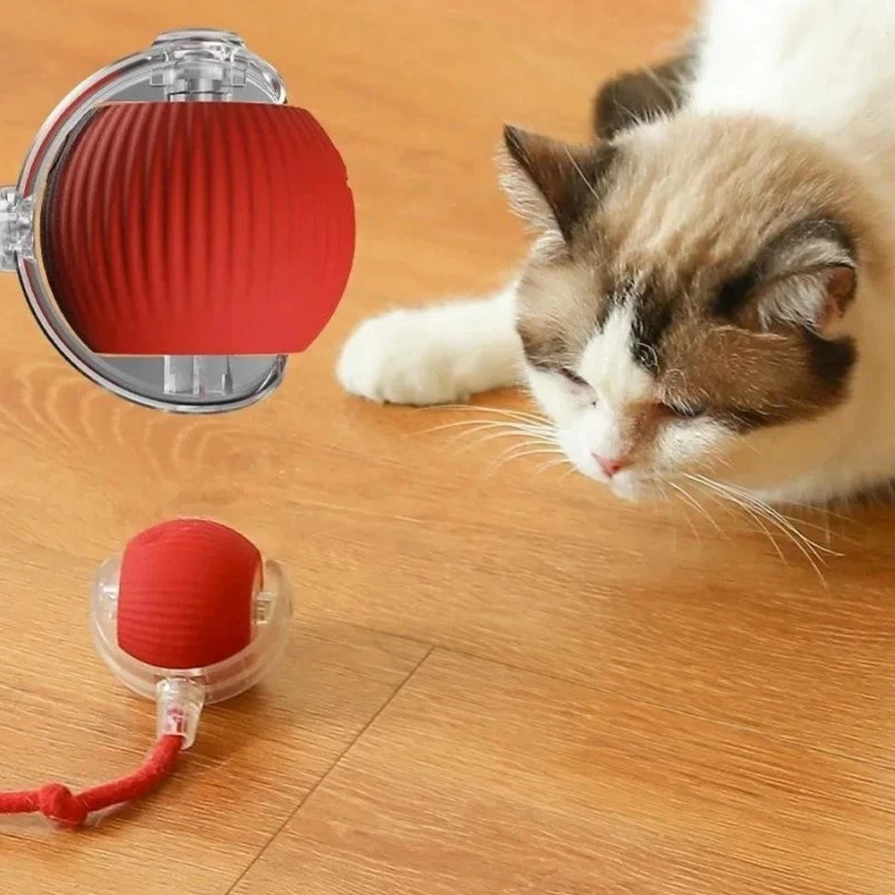 ChaseTail Smart Ball