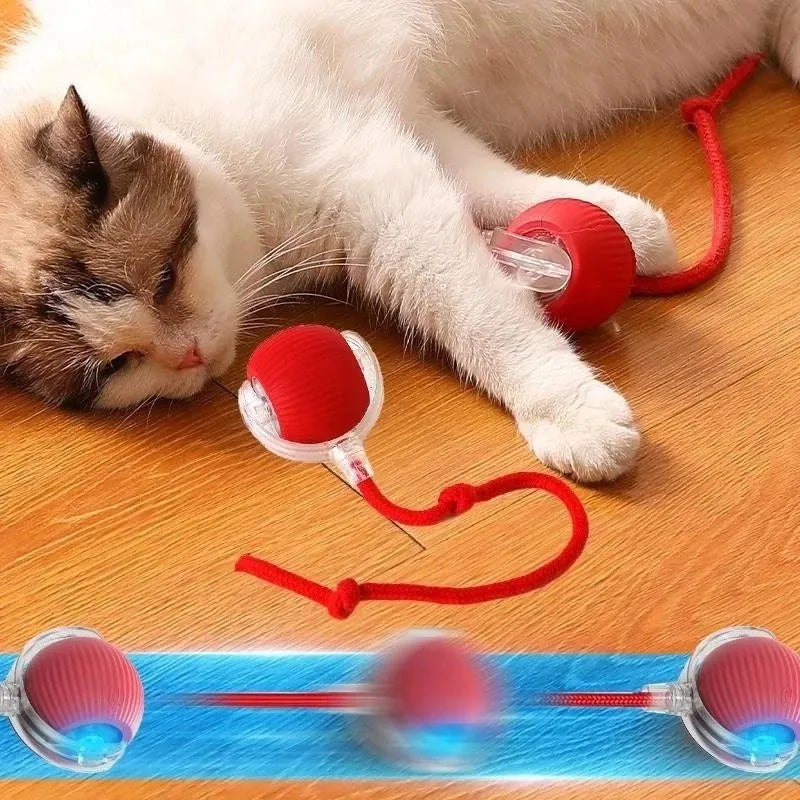 ChaseTail Smart Ball