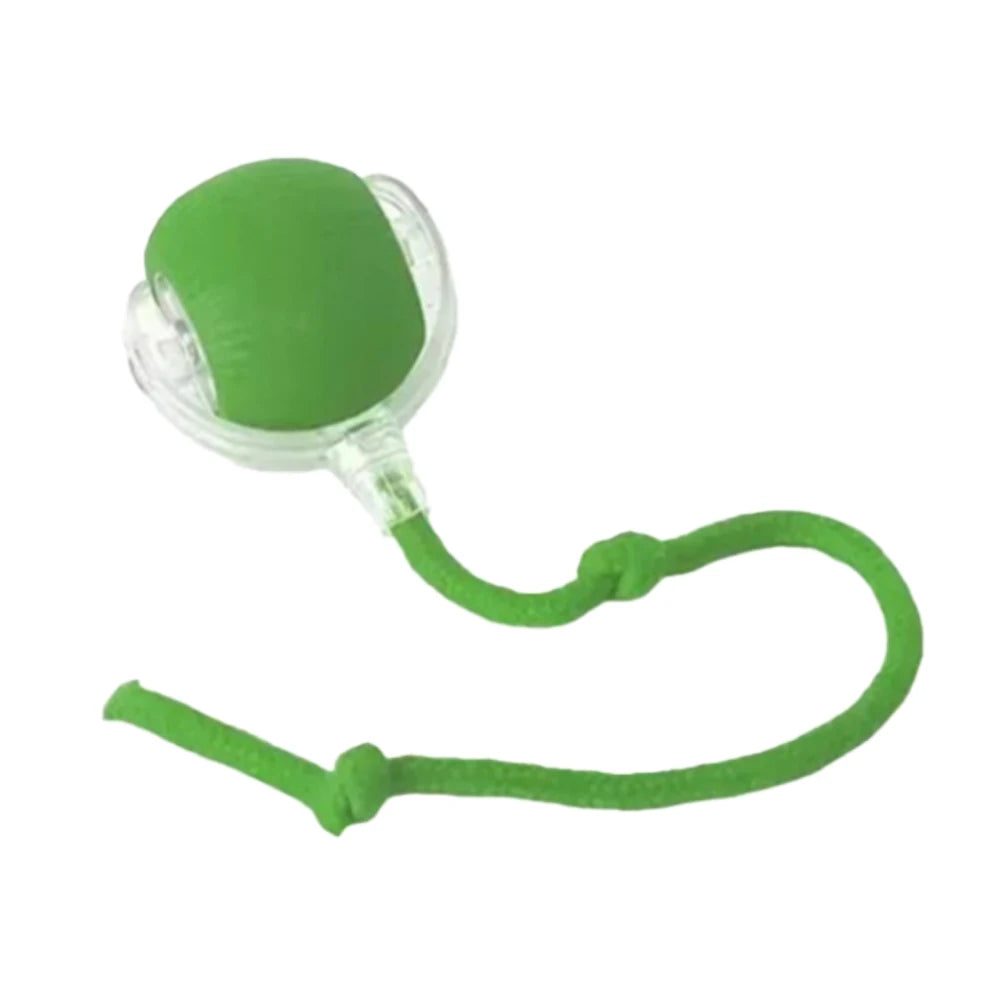 ChaseTail Smart Ball