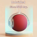 ChaseTail Smart Ball
