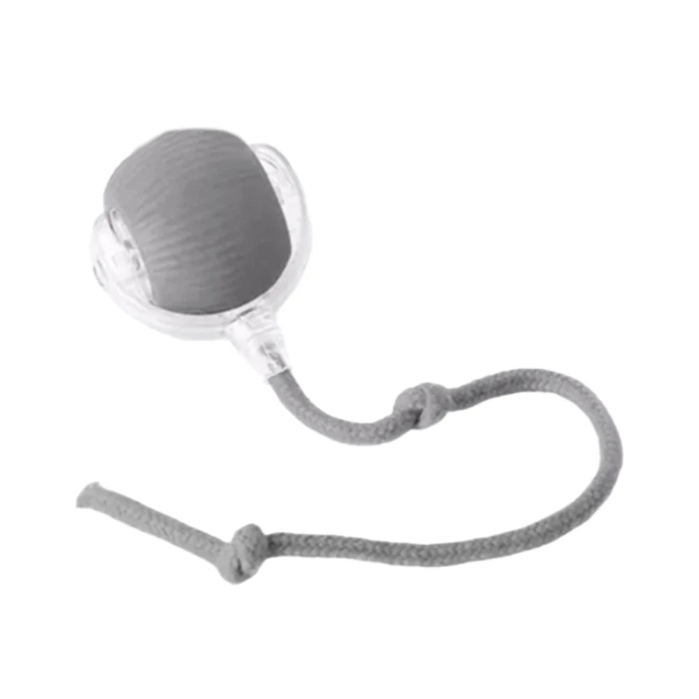 ChaseTail Smart Ball