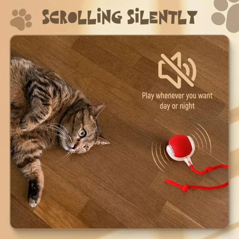 ChaseTail Smart Ball