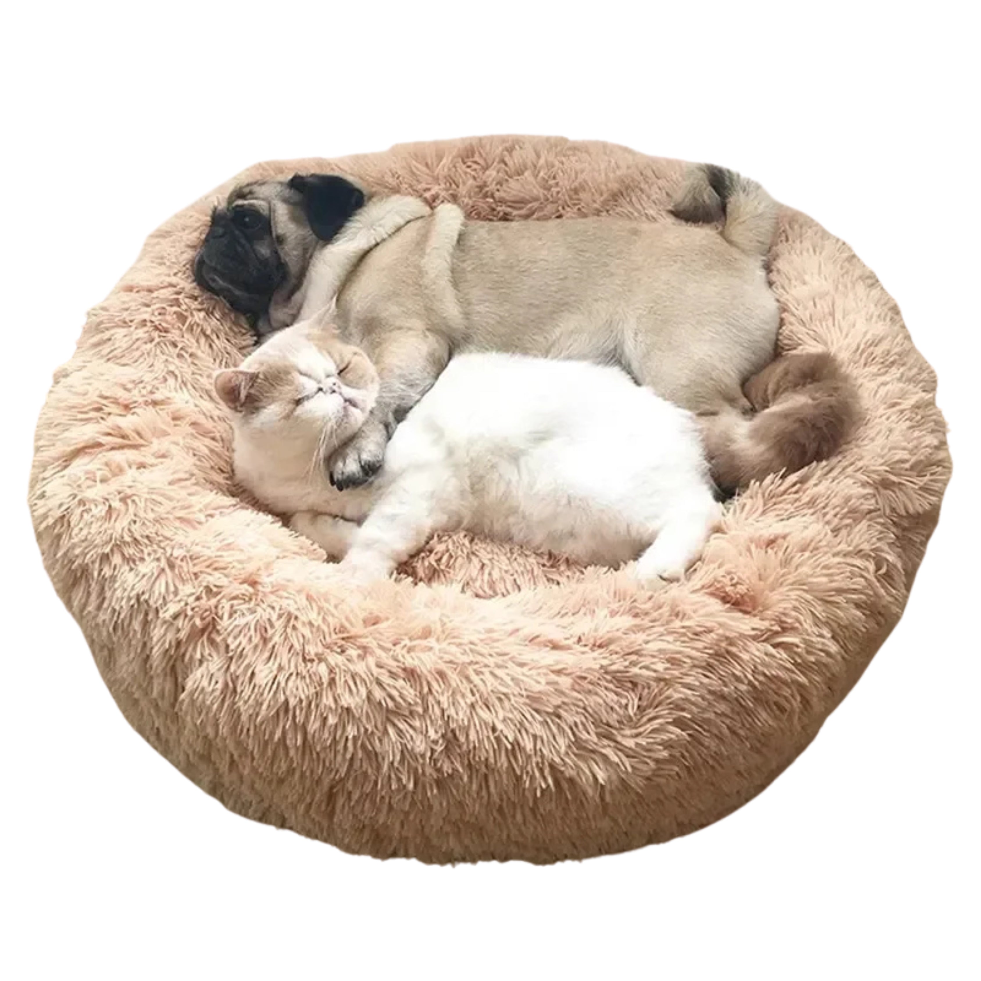 CloudRest Calming Bed