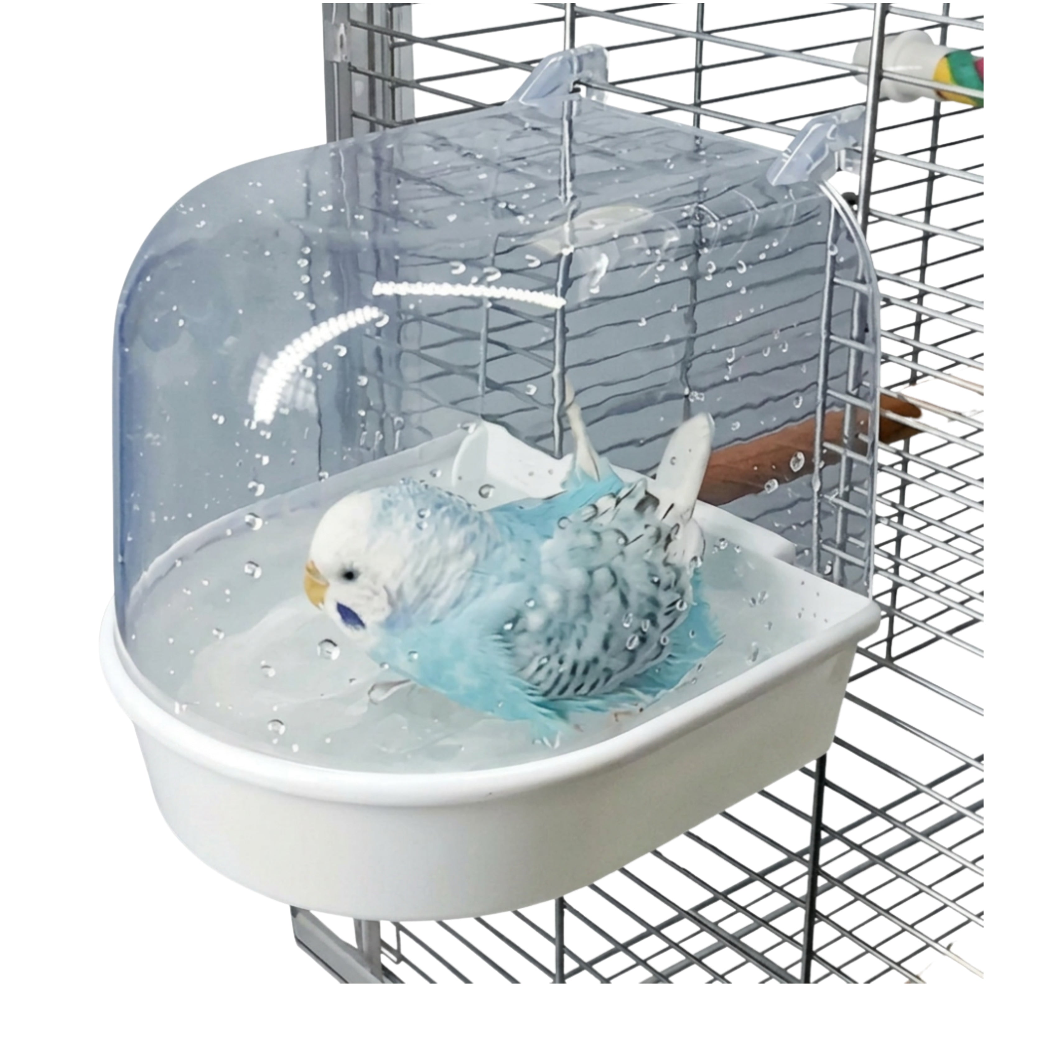 SplashNest Bird Bath