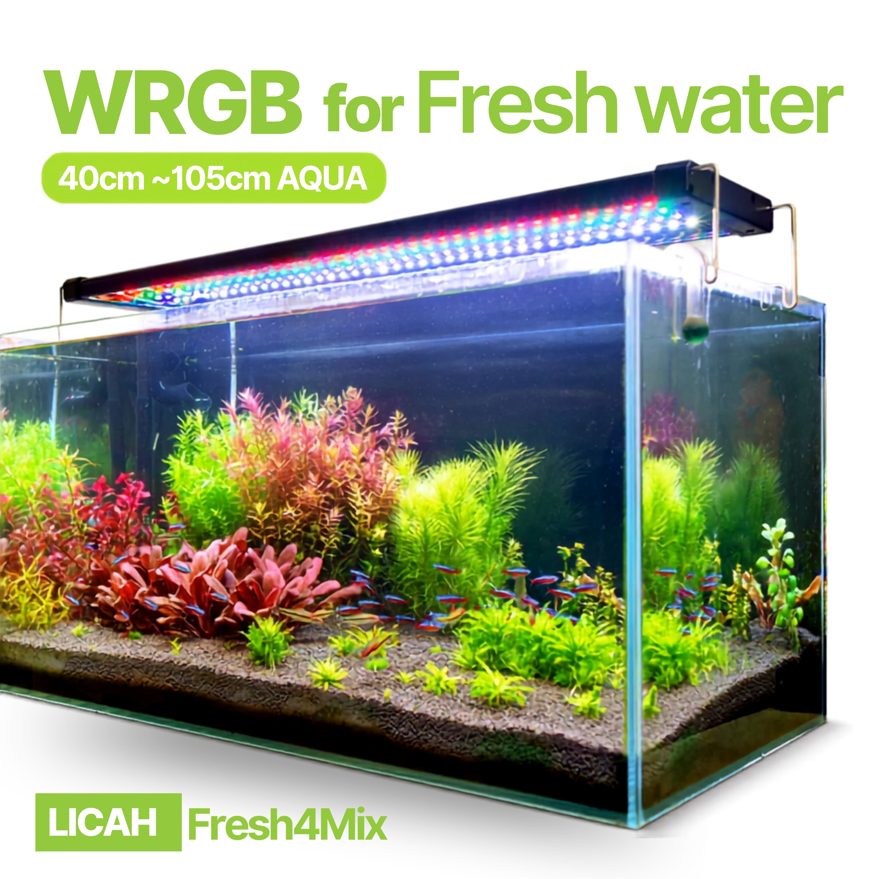 AquaBloom WRGB Aquarium Light