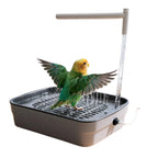 PureSplash Bird Bath