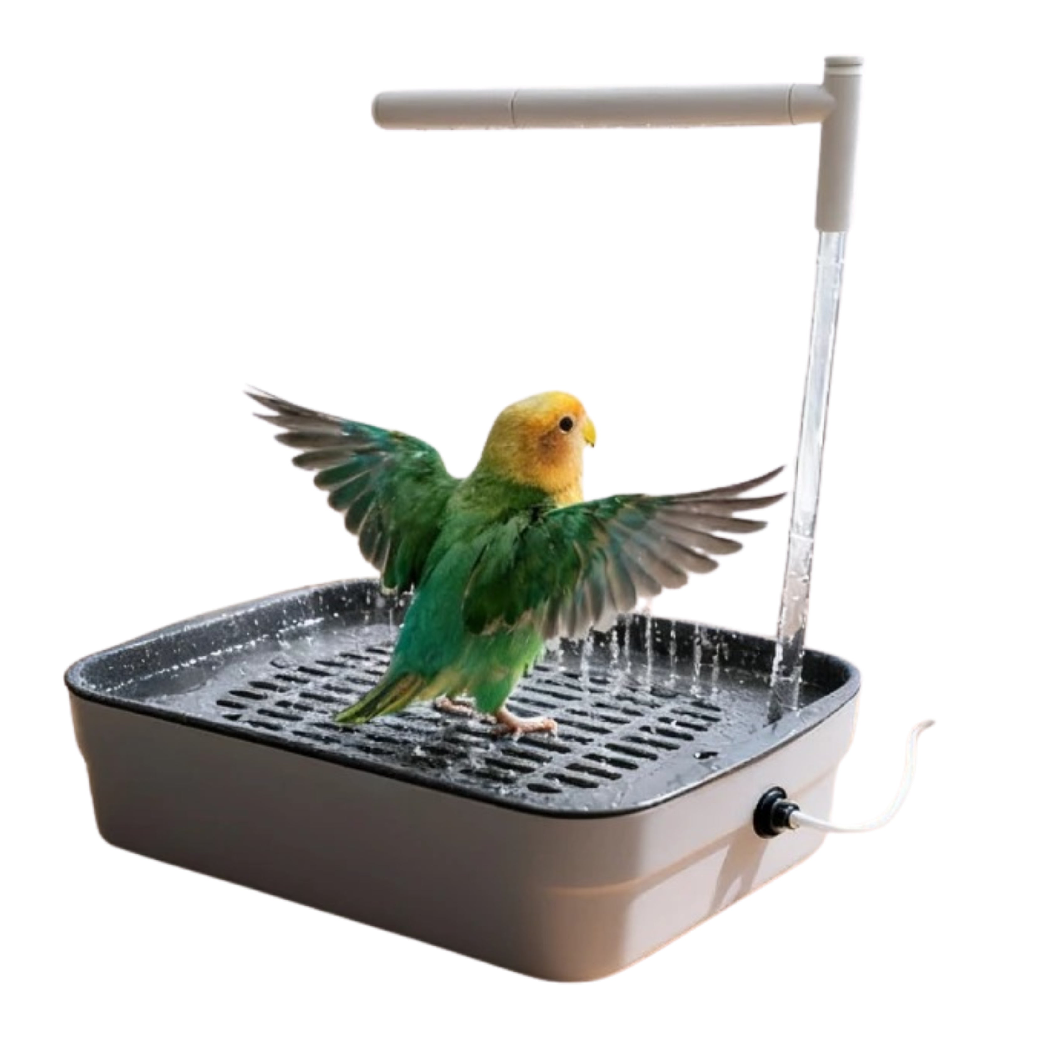 PureSplash Bird Bath