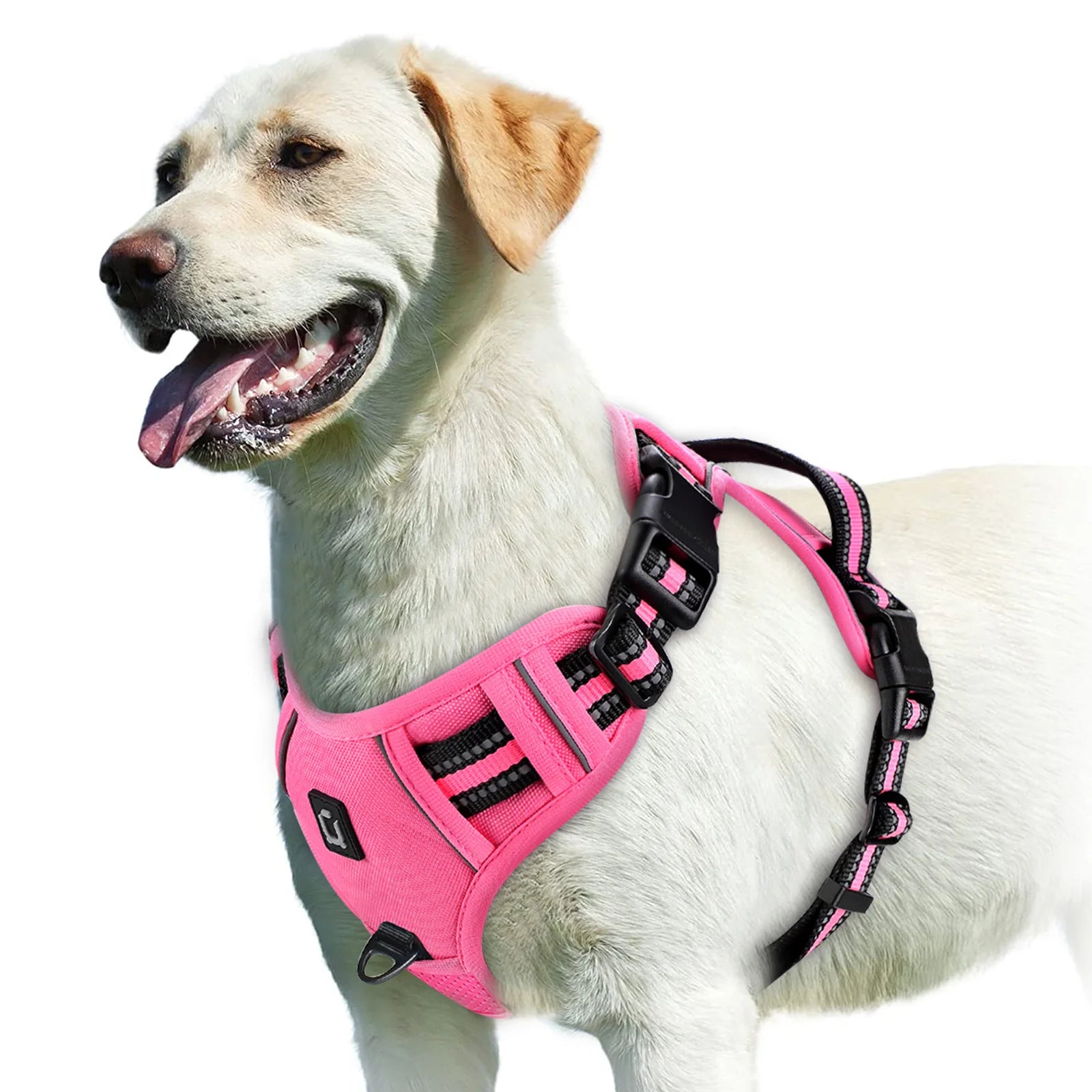 StrideEase Harness