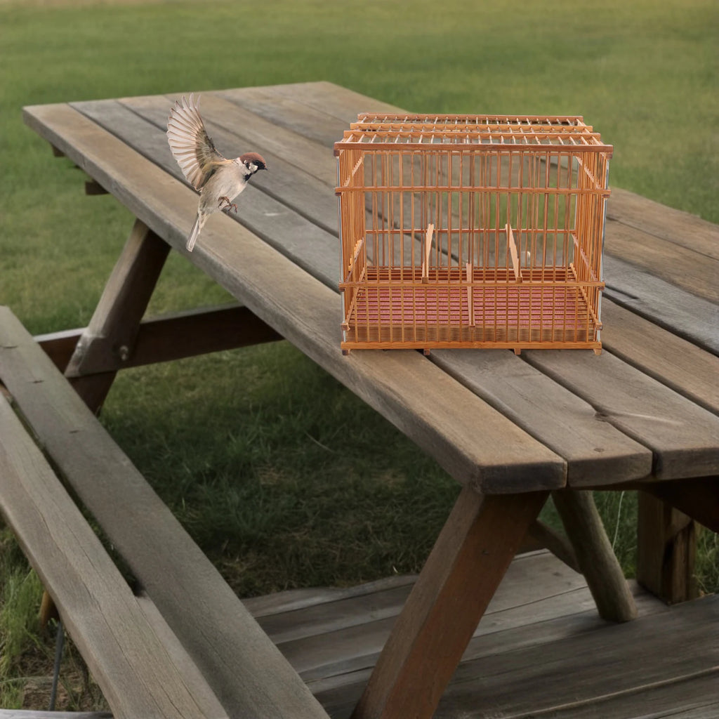 BambooGo Bird Carrier