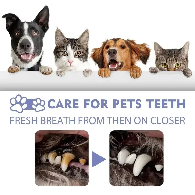 FreshMouth Oral Spray