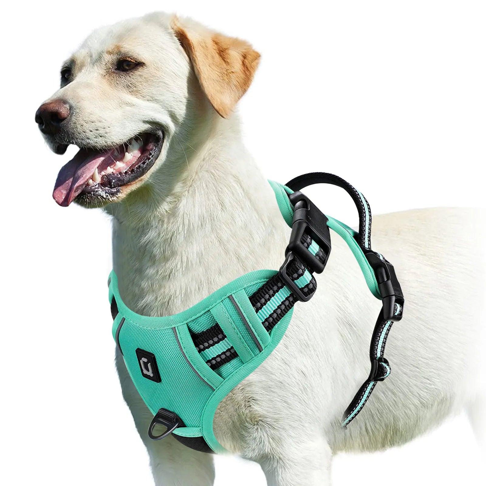 StrideEase Harness