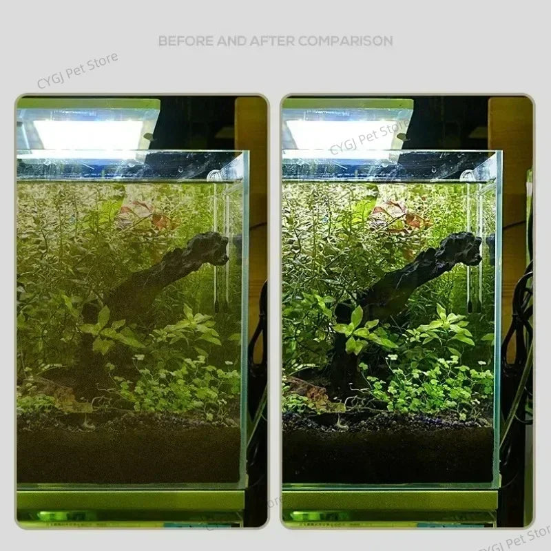 ClearEdge Aquarium Scraper