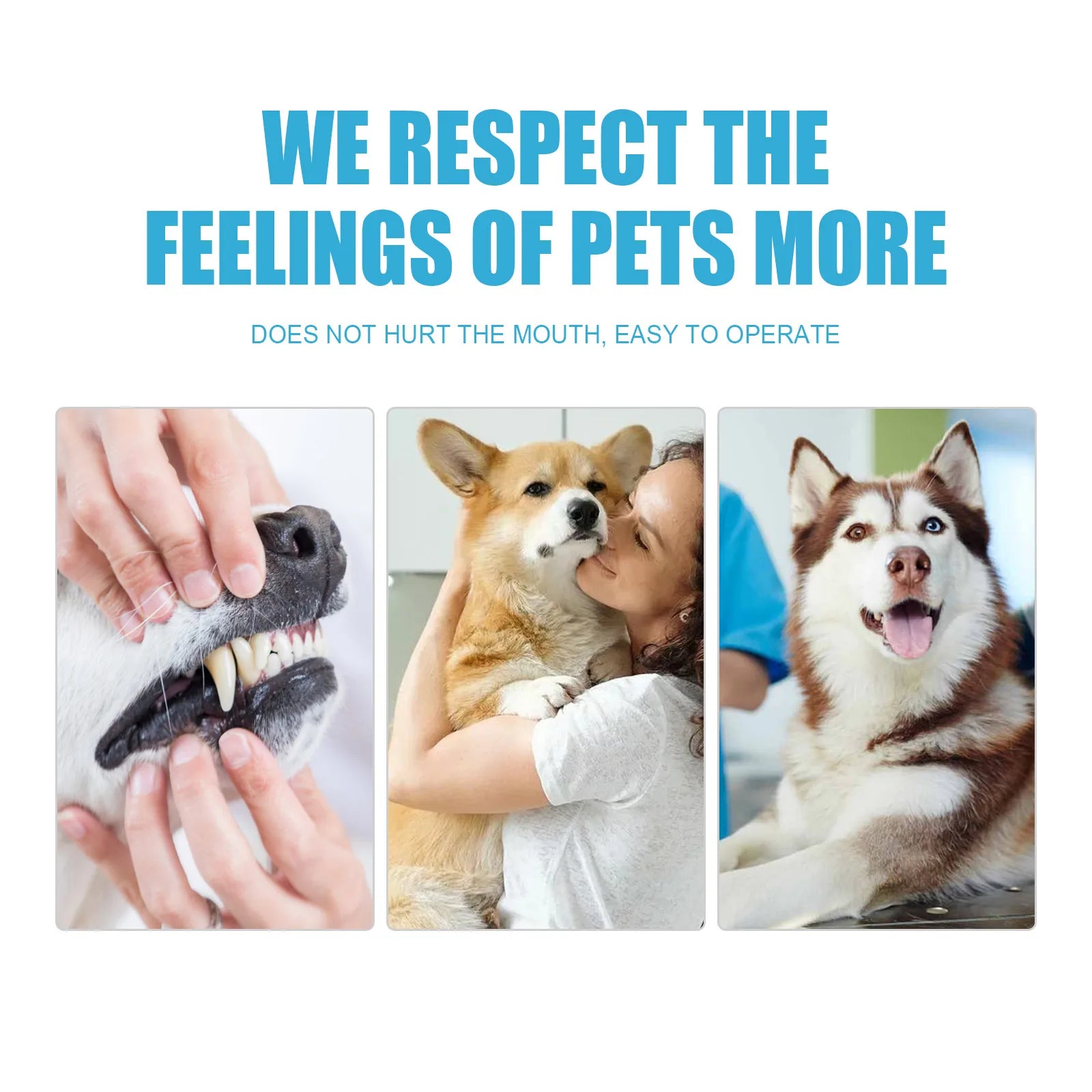 FreshGuard Pet Toothpaste