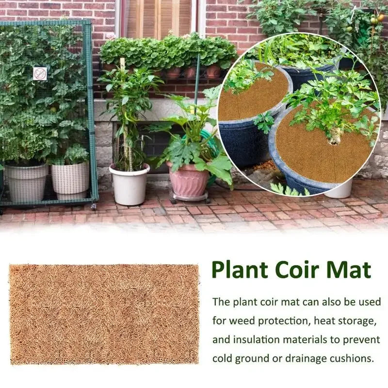 CocoBase Terrarium Mat