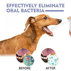 FreshMouth Oral Spray