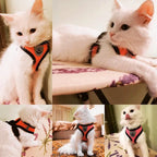 FlexiStep Pet Harness
