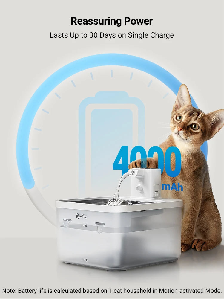 PureFlow Wireless Fountain 2in1