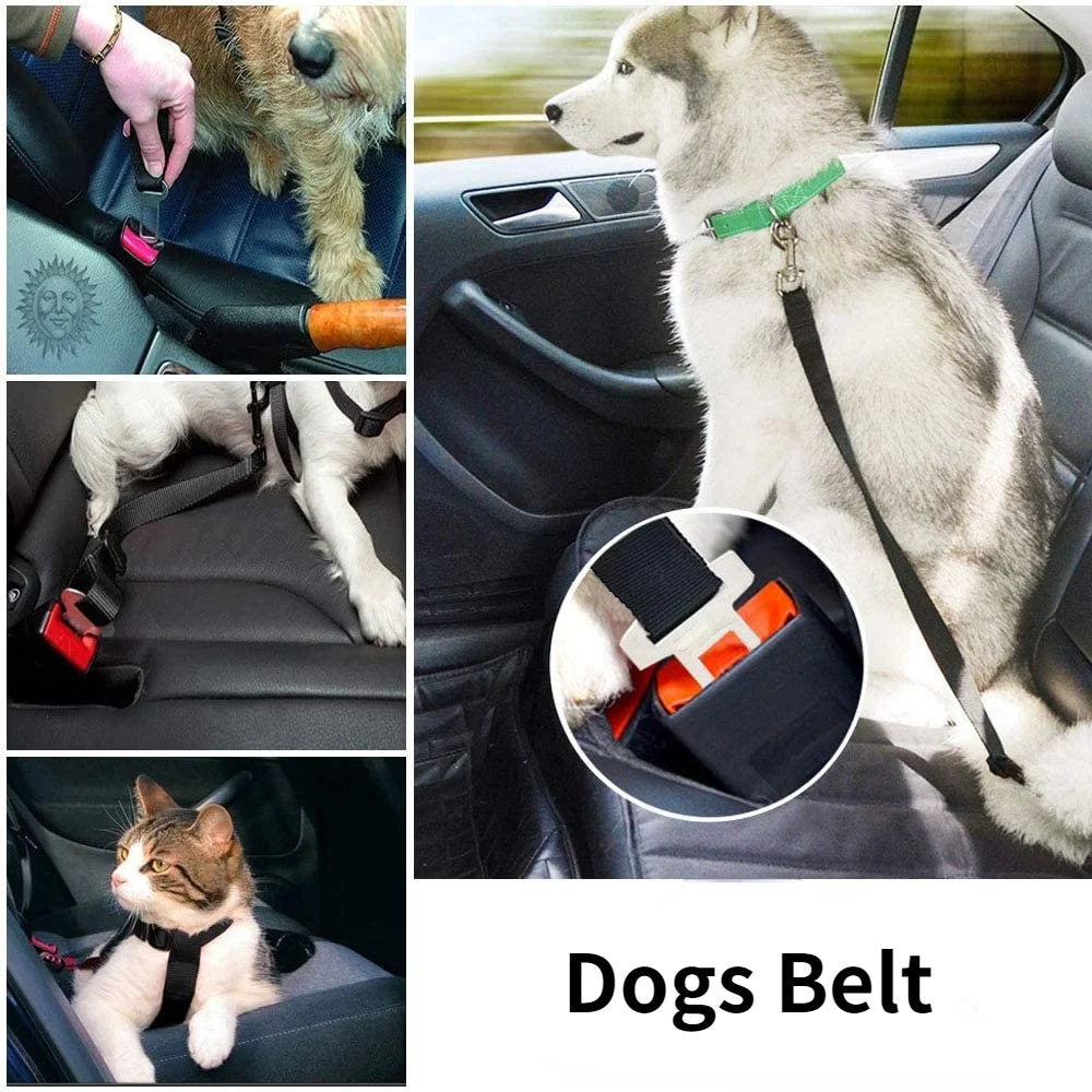 DriveSafe Pet Seat Belt