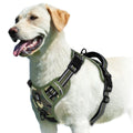 StrideEase Harness