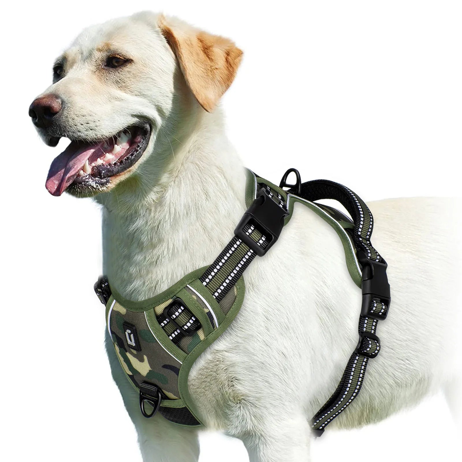 StrideEase Harness