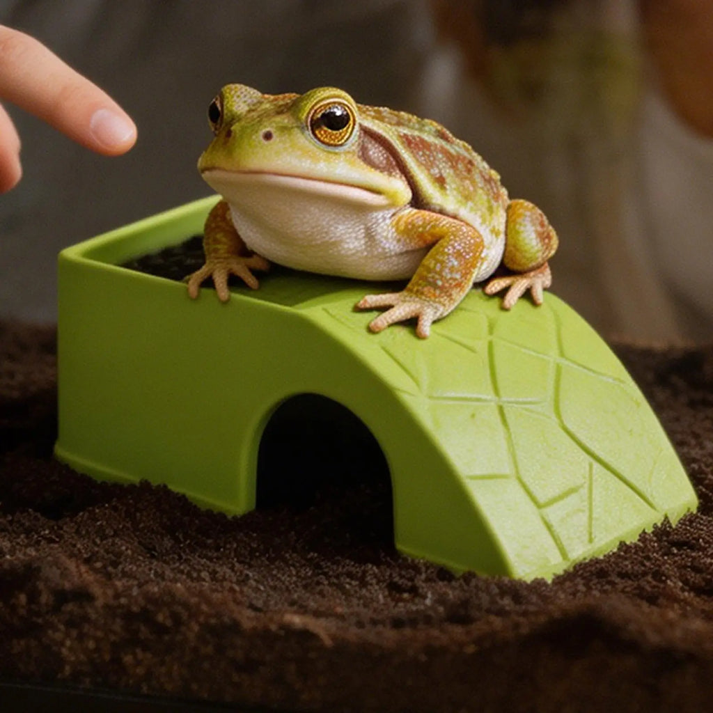 HideBowl Habitat Dish