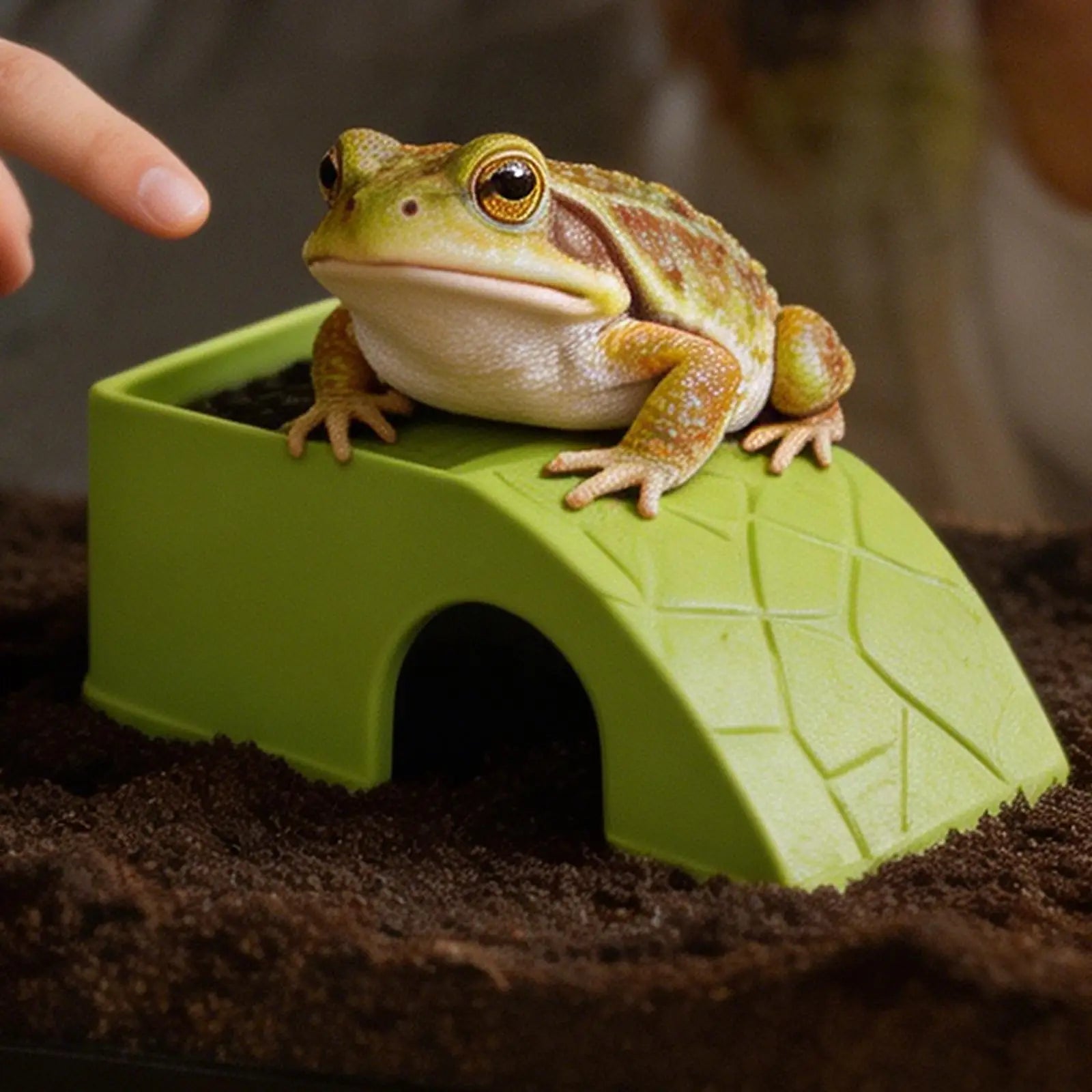 HideBowl Habitat Dish