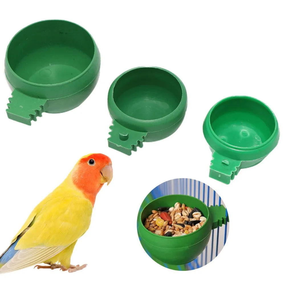 ClipServe Bird Bowl