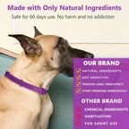 CalmPaw Comfort Collar