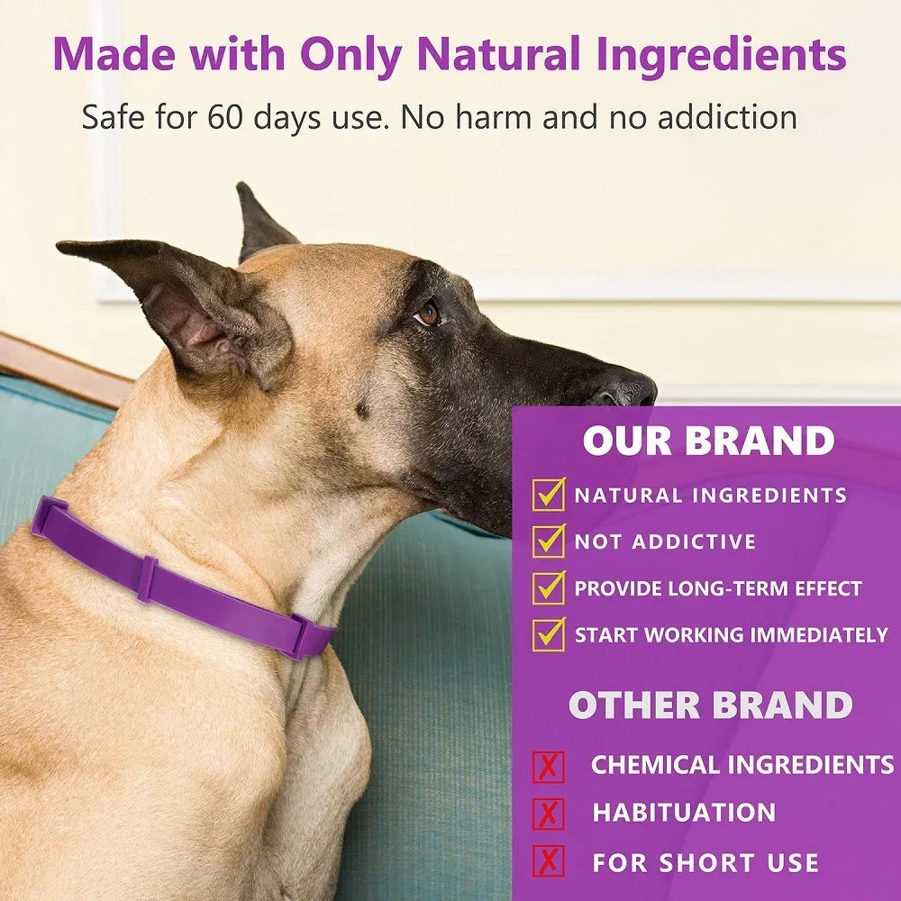 CalmPaw Comfort Collar
