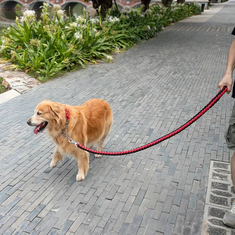 IronWeave Heavy-Duty Dog Lead