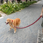 IronWeave Heavy-Duty Dog Lead