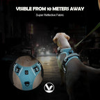 StrideEase Harness