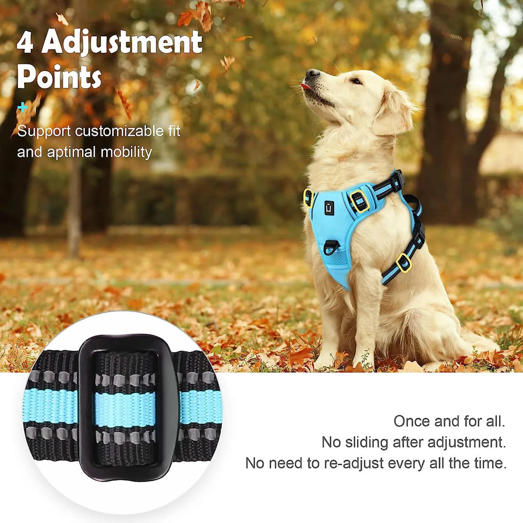 StrideEase Harness