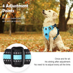 StrideEase Harness