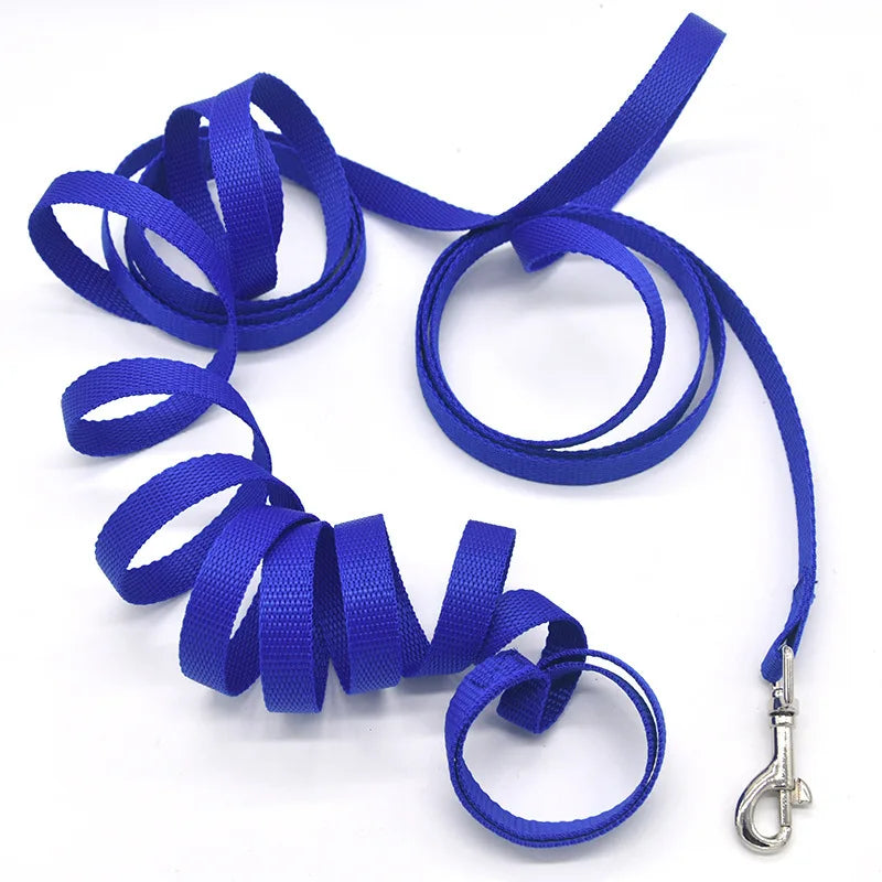 TrailLine Walking Lead