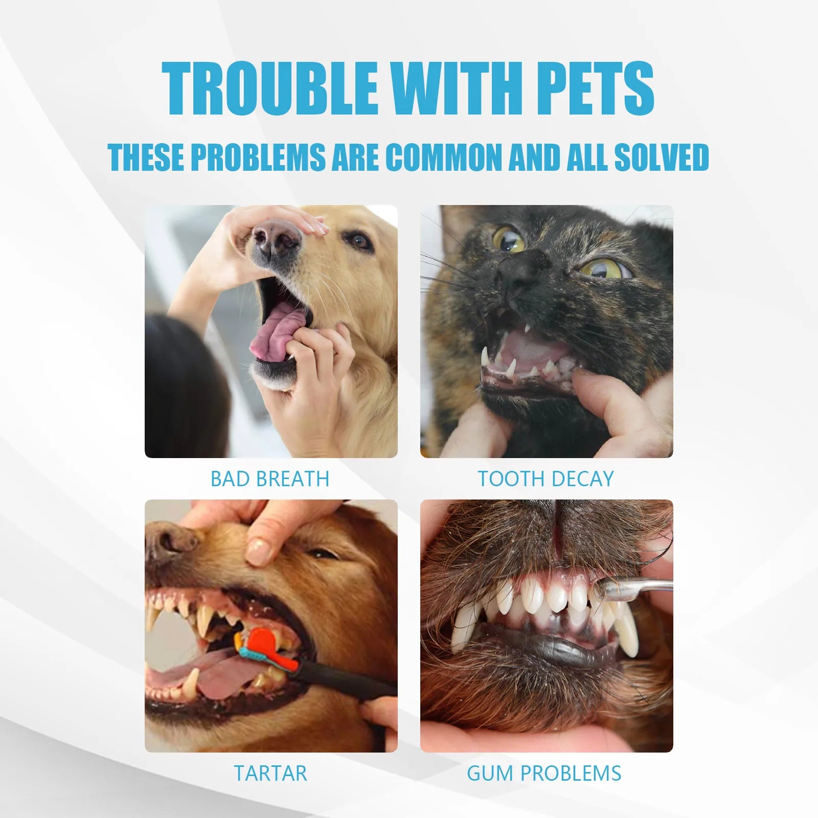 FreshGuard Pet Toothpaste
