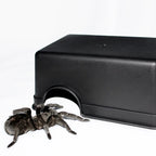 RockNest Basking Hide