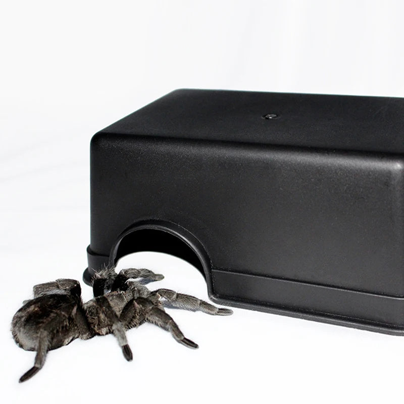 RockNest Basking Hide