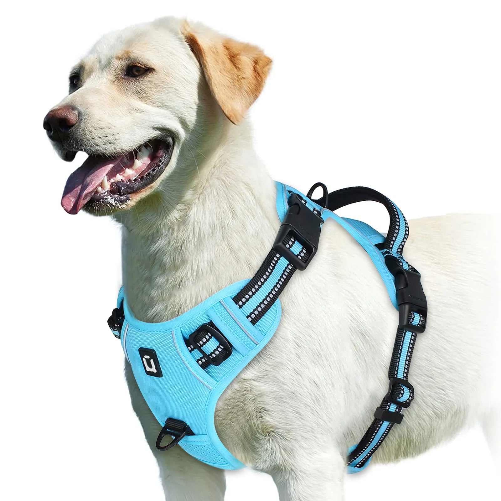 StrideEase Harness