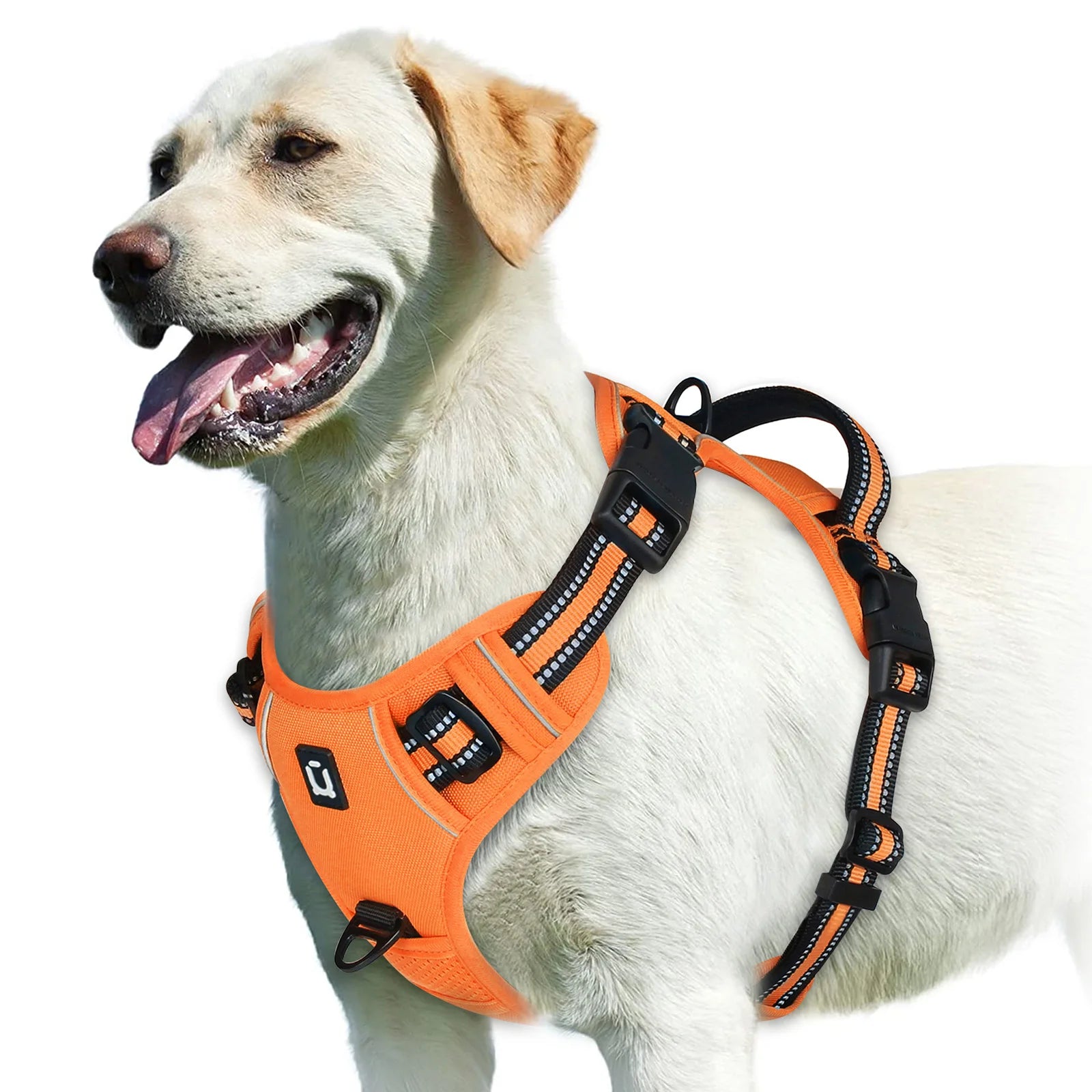StrideEase Harness