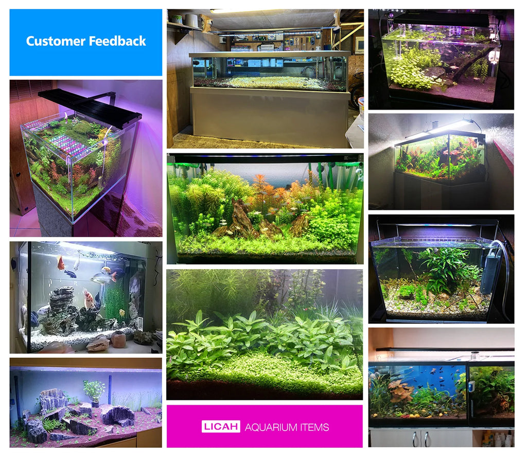 AquaBloom WRGB Aquarium Light