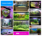 AquaBloom WRGB Aquarium Light