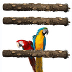 BranchNest Natural Perch