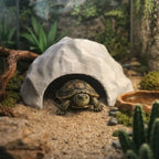 HideStone Reptile Cave