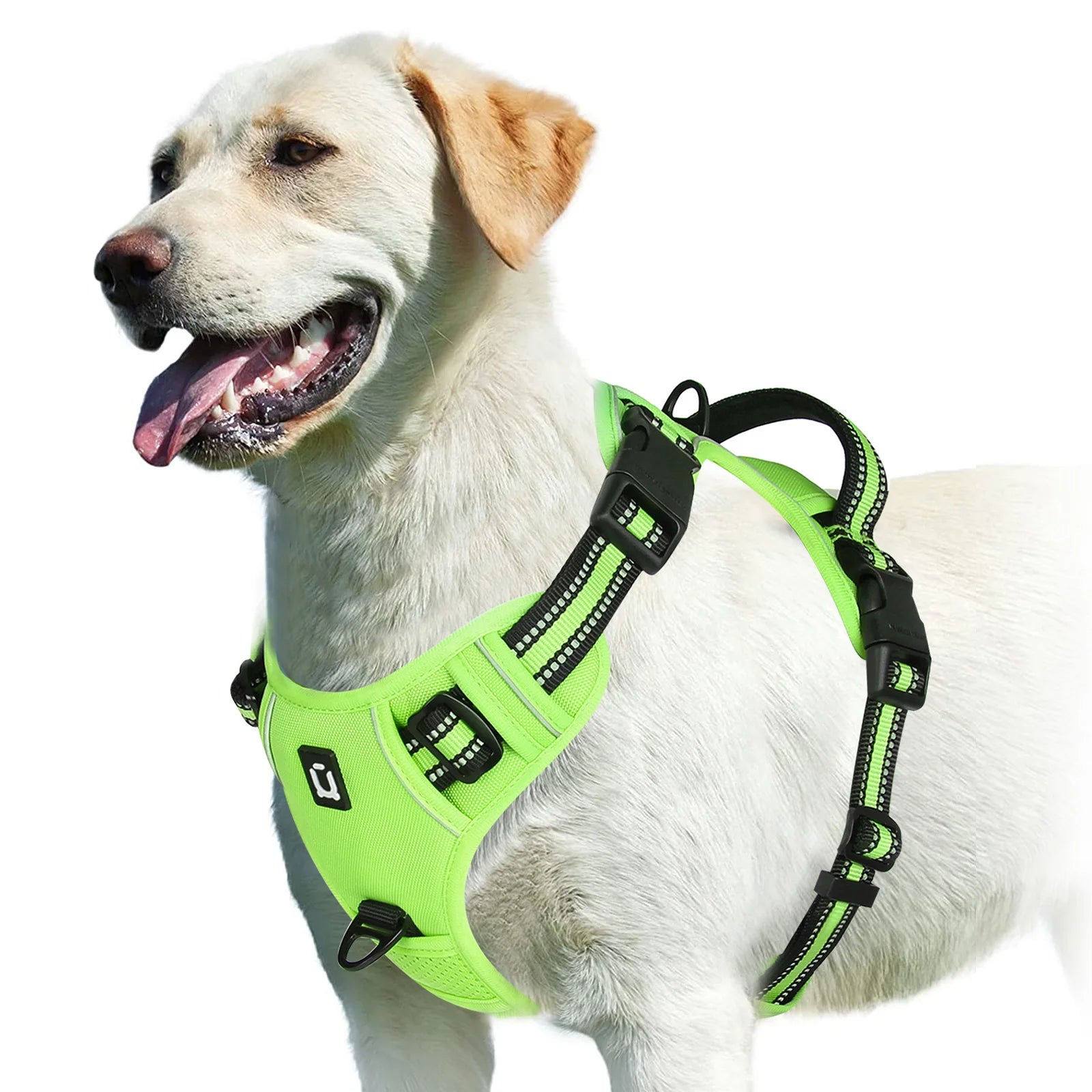 StrideEase Harness