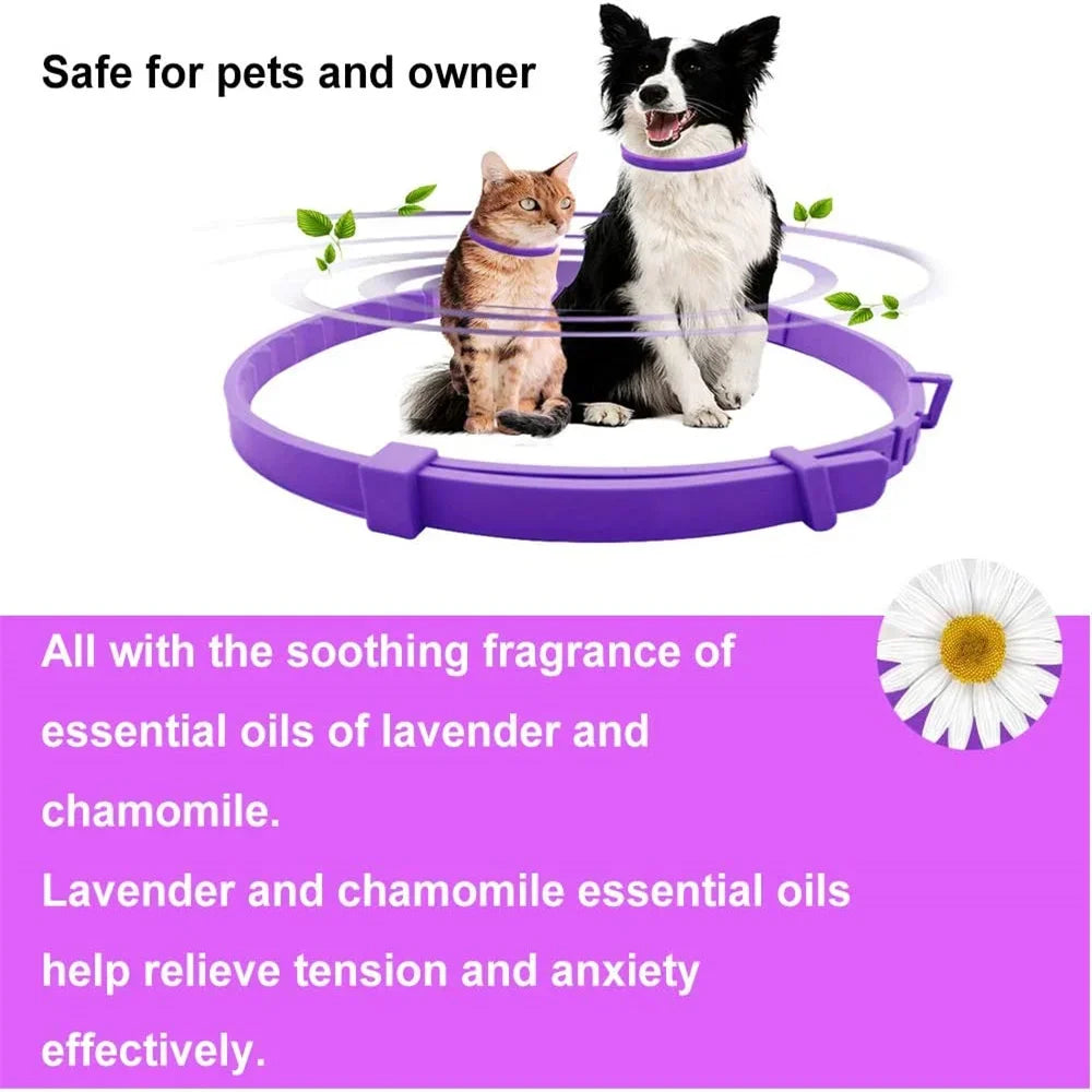 CalmPaw Comfort Collar