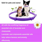CalmPaw Comfort Collar